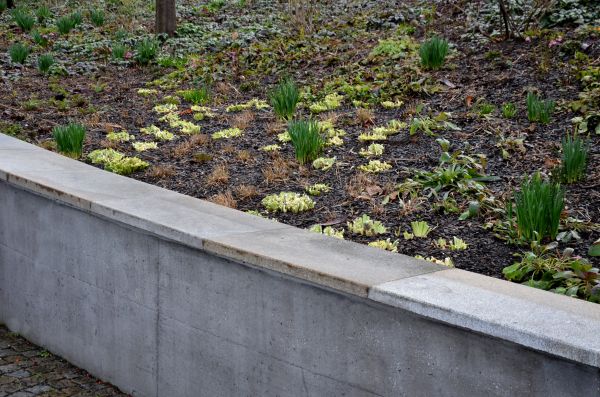Cost of Concrete Wall Construction in Vienna