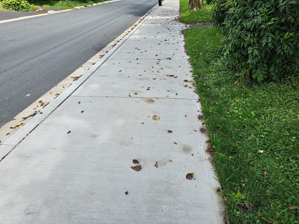 Cost of Sidewalk Renovation in Vienna