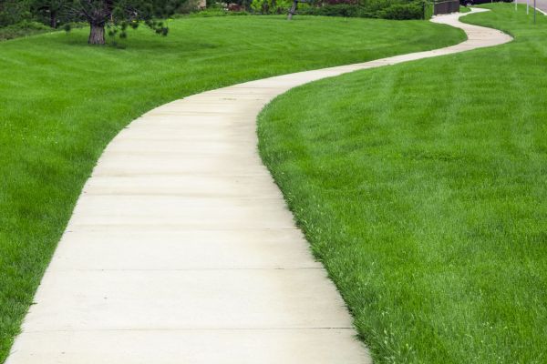 Cost of Pathway Replacement in Vienna
