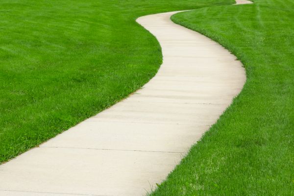 Cost of Walkway Building in Vienna