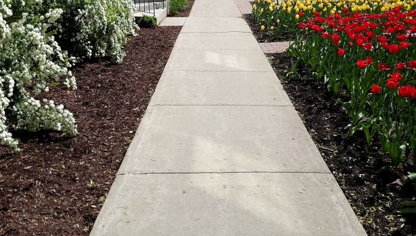 Cost of Sidewalk Slab Replacement in Vienna